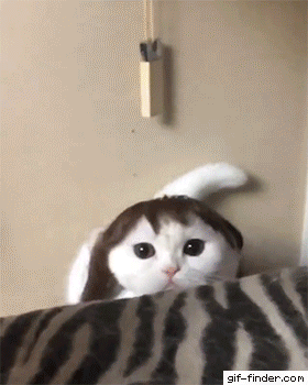 ддд