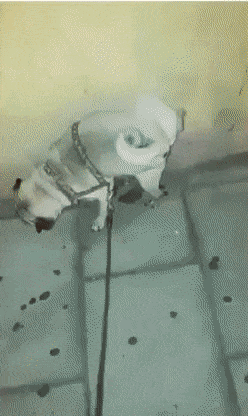 tumblr_ov7fosXmKf1ufbwoco1_400