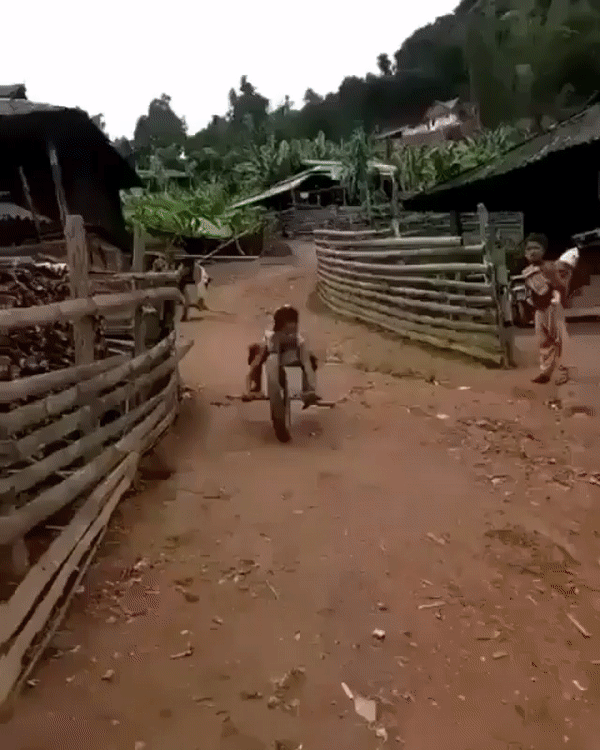need_for_speed