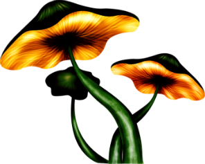 115449199_0_9cdb7_6de55545_XL
