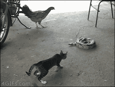 tumblr_ms8ac5dOJA1qdlh1io1_r1_400