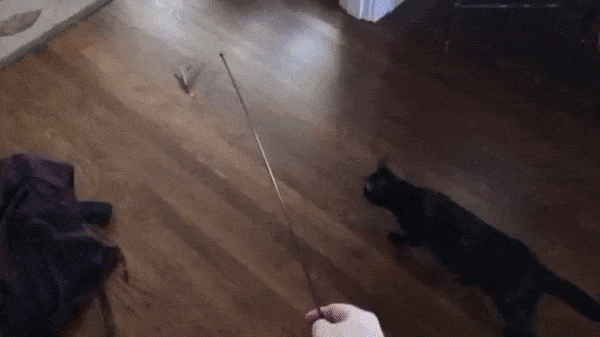 Само совершенство