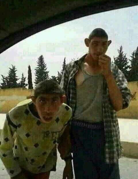 Женихи..