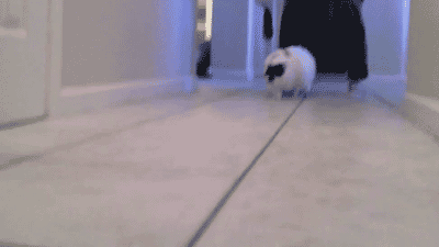 кушать