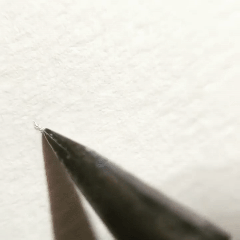 Калиграфия 1