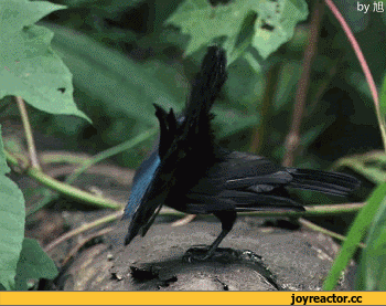 0_225f08_6f62ab65_orig