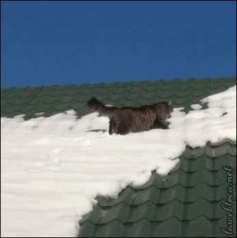0_dbda0_8ee2ffce_L