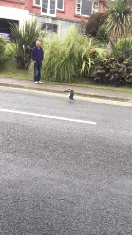 25cd9d1ba7ec6d0987aef3455de