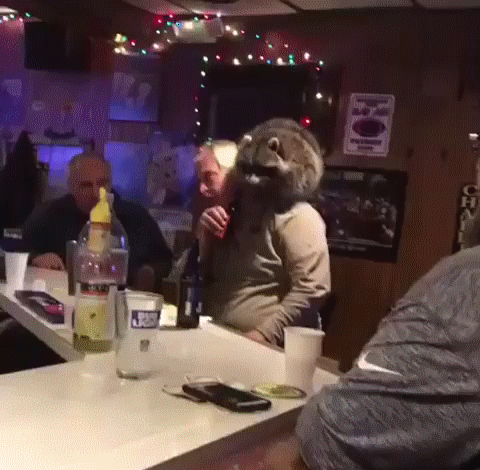 ef6eef33c82c1d5a516fffaa520