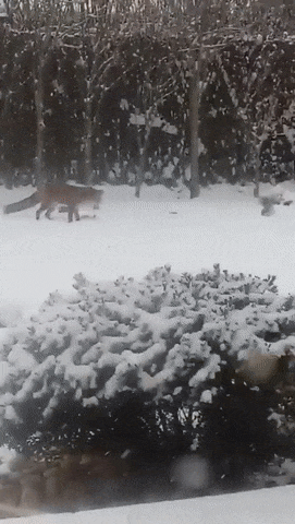 014d79ec7fa2802432bd5ff1e97