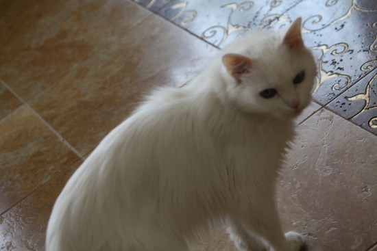 Изображение 089