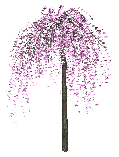58