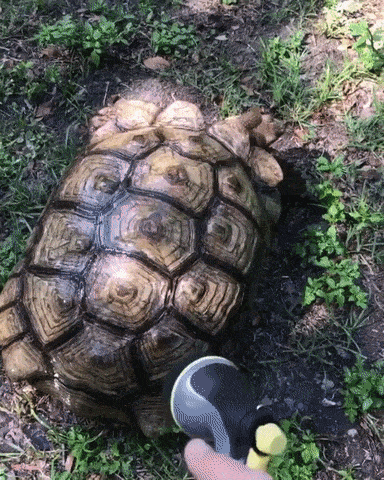 1518473777197392961_yapfiles.ru