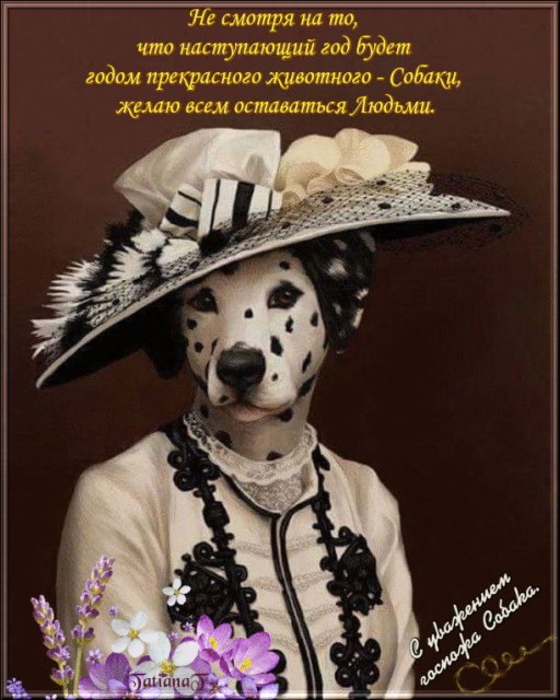 Хозяйка года - Её Величество Собака