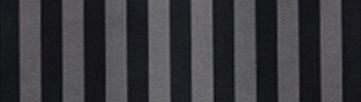 зебра