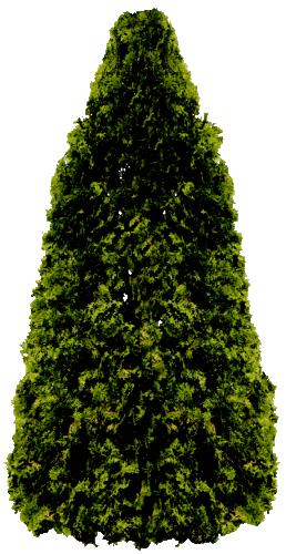 2221