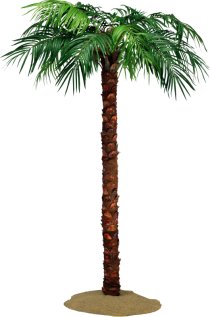 1490173784_palm-18