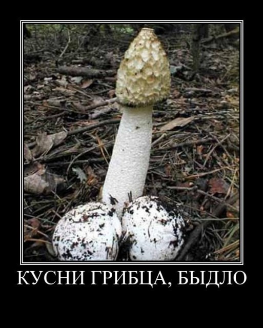 722B56F6-595B-4F9A-A462-EBBCC326AD7E