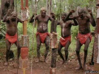 gifkireaktor