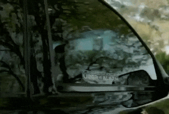 Эффект бабочки