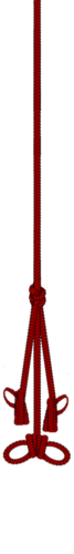 red_rope