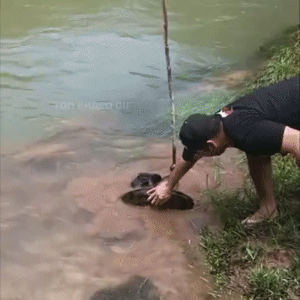 gif_1520239850