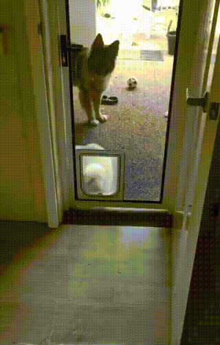 1520278758166239835