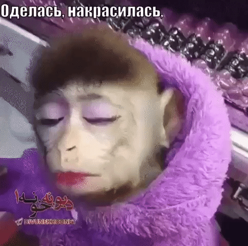 gif_красава