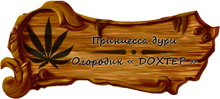 Ogorodik-doxtera