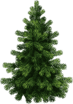 150темнее2-min