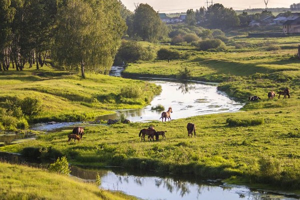 0_17ef9e_d8ec4f12_orig