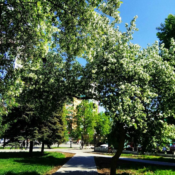 0_17efa9_1d7b06ce_orig