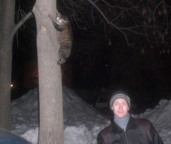 Дереволаз