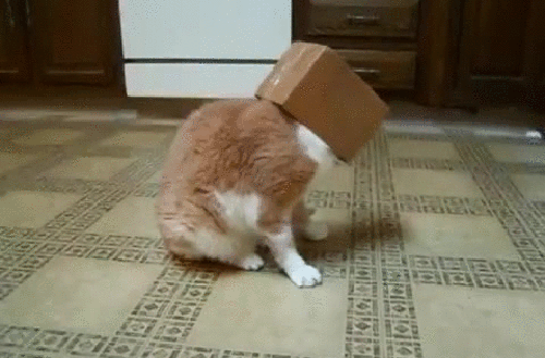 короб
