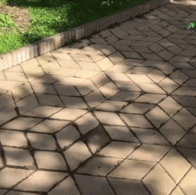1522275170172512684