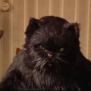 1422339772_1765867661