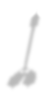 fonarj 1++