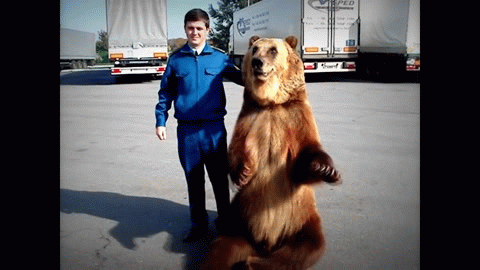 фак