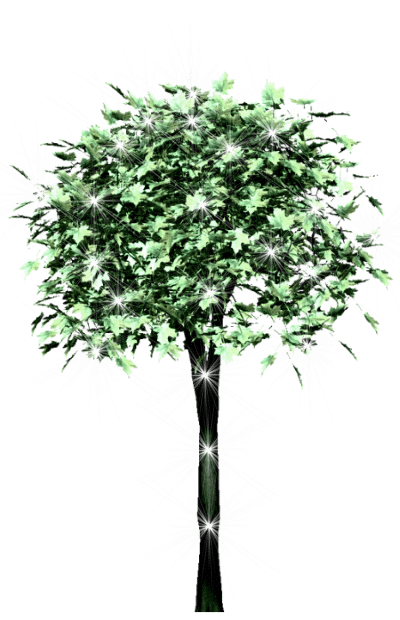 0_8