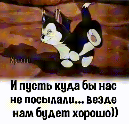 image_(12)