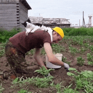 Помощник