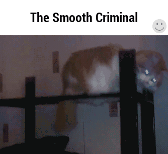 65f23db2e9abe8b38fca7042a4d3dc3d