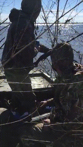 tumblr_p88o5bQGP91qzhjh2o1_400