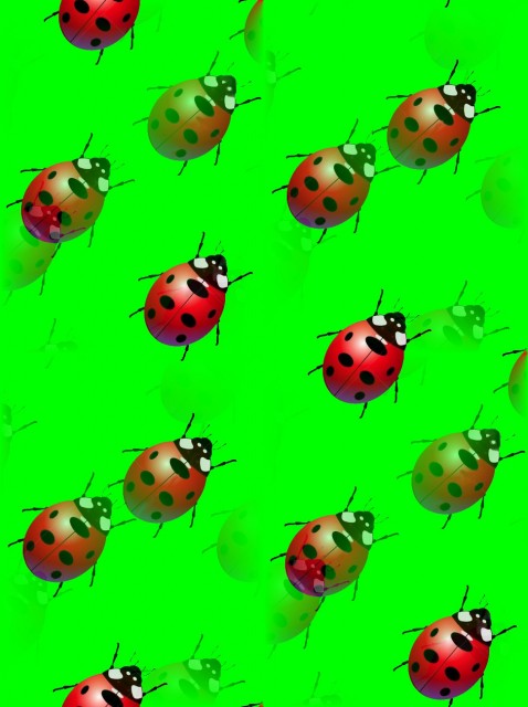 -коровка-(24)