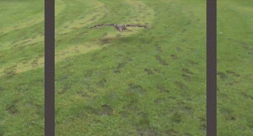 1395076352_100088824