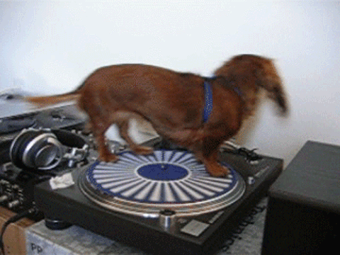 00035740.gif-bild
