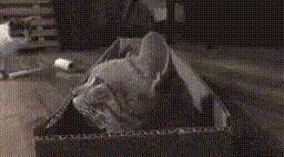video-_5_
