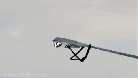 ezgif.com-video-to-gif (10)