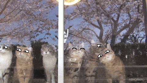 ezgif.com-video-to-gif (12)
