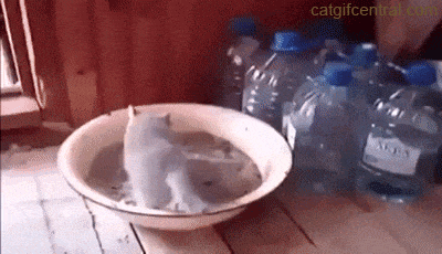 8a42162cb78e4c975658667b7b9420f2